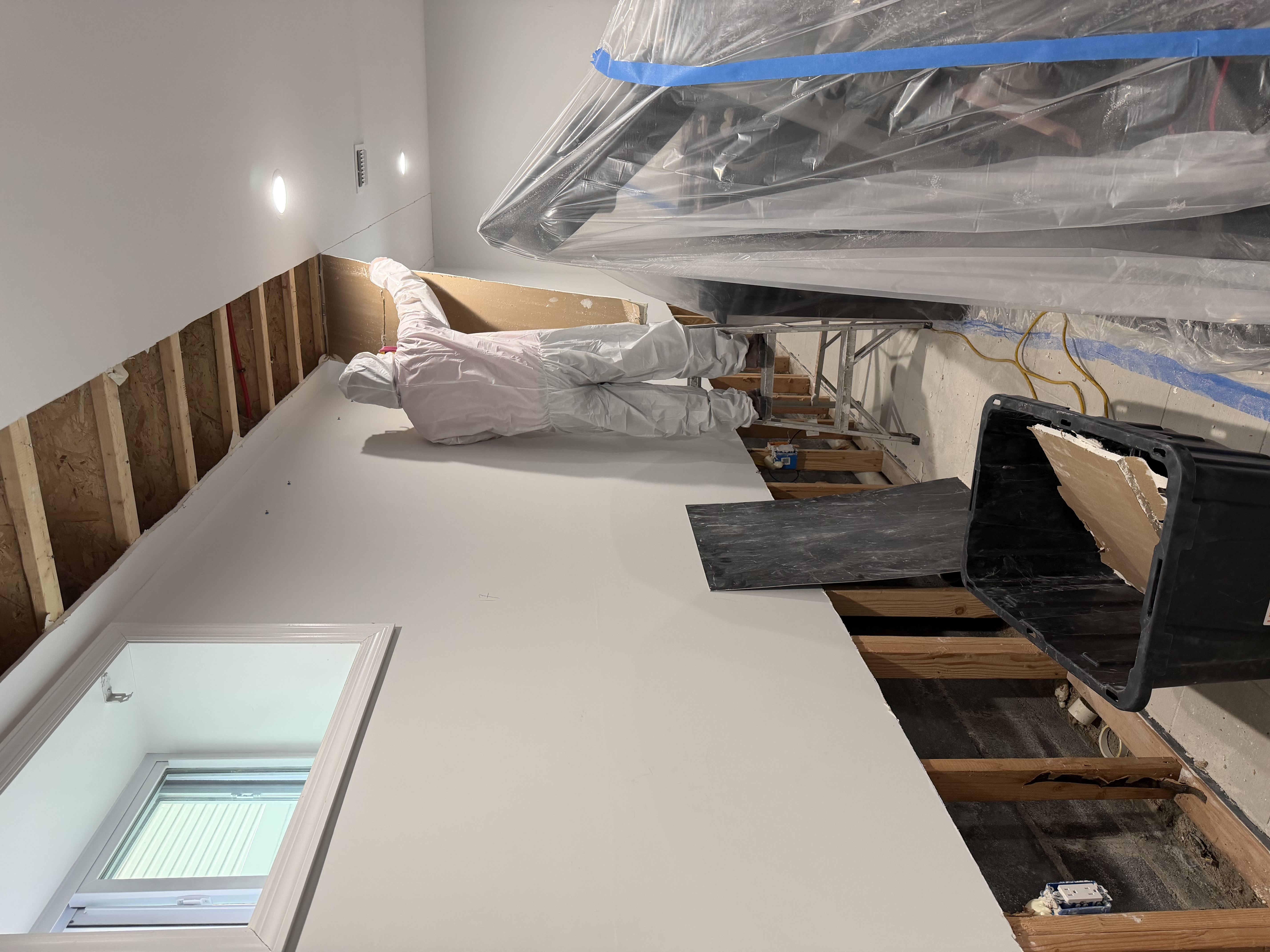 Mold Remediation